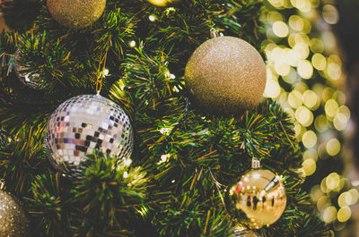 Close-up of christmas decoration on tree