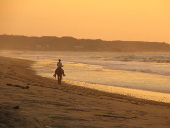 Rear view of person riding horse on beach at sunset