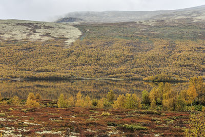 Scenic view of landscape against sky