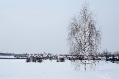 Bare trees on frozen landscape against clear sky