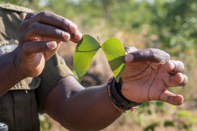 Close-up of woman holding plant