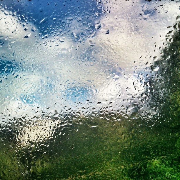 drop, water, wet, rain, window, transparent, raindrop, glass - material, weather, full frame, season, backgrounds, sky, indoors, close-up, glass, focus on foreground, nature, tree, monsoon