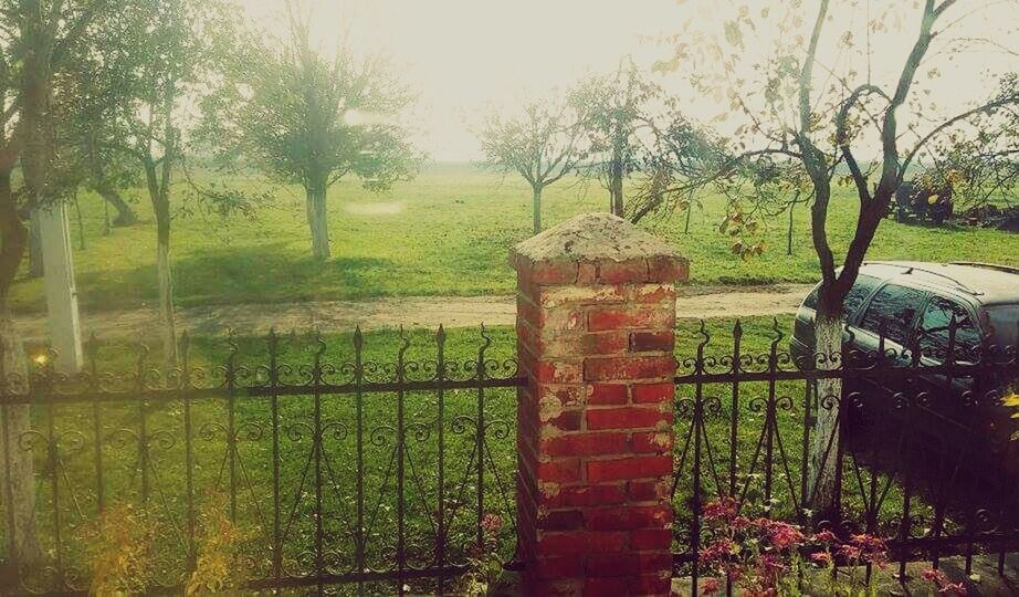 tree, tranquility, growth, tranquil scene, fence, grass, nature, green color, scenics, branch, water, beauty in nature, plant, field, landscape, protection, sky, no people, built structure, outdoors