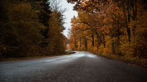 Road amidst trees during autumn