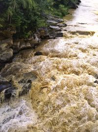 River flowing through rocks