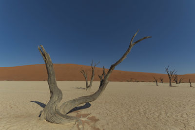 Sand dunes in desert against clear blue sky