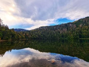 Scenic view of lake by trees against sky