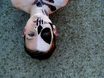 Portrait of shirtless boy with face paint lying on footpath