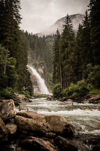 Scenic view of waterfall in forest