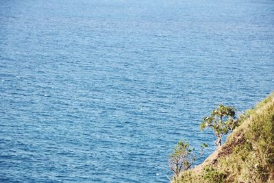 High angle view of sea shore