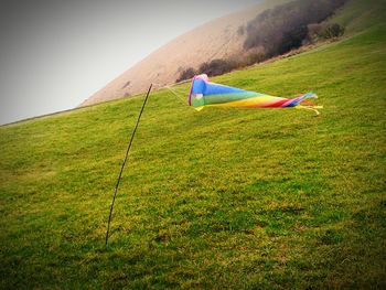 Scenic view of grassy field