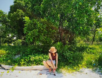 Woman sitting on tree by plants