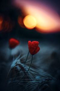 red