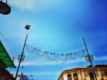 Low angle view of birds perching on cable against blue sky