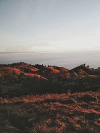 Scenic view of landscape against sky during sunset