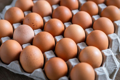 High angle view of eggs in container