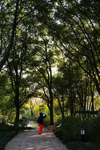 Rear view of man standing by tree