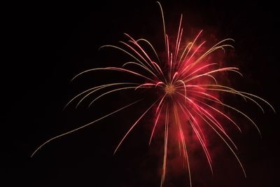 Low angle view of firework display