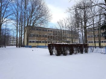 Bare tree against built structure in winter