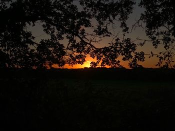 Silhouette trees on field against sky at sunset