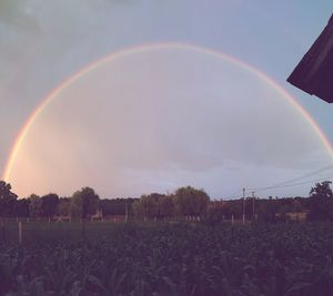 Scenic view of rainbow over field against sky