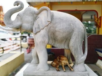 Close-up of dog statue