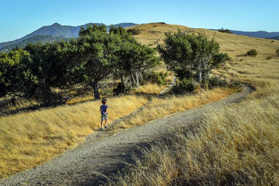 Rear view of man walking on mountain road