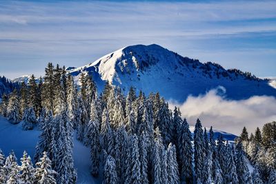 Scenic view of snowcapped mountains against sky