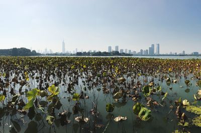 Scenic view of city against sky