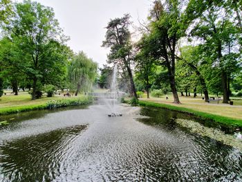 Canal amidst trees in park against sky