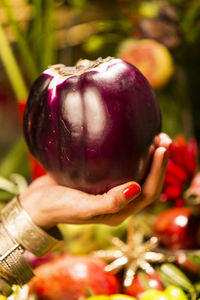 Close-up of hand holding apple