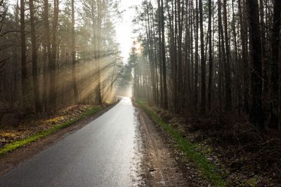 Road amidst trees in forest against sky