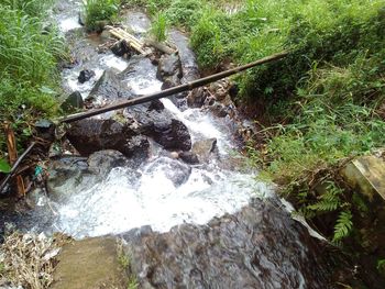 High angle view of waterfall amidst trees in forest