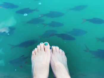 Low section of person swimming in sea