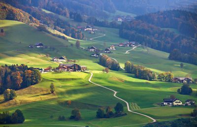 High angle view of green landscape