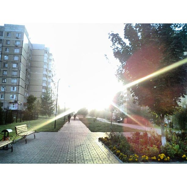 building exterior, built structure, architecture, sun, sunlight, sunbeam, transportation, clear sky, lens flare, car, tree, sky, city, building, auto post production filter, the way forward, sunny, transfer print, day, glass - material