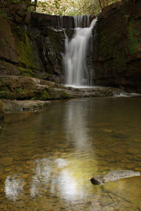 Scenic view of waterfall in forest