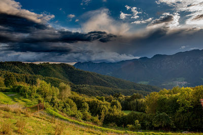 Scenic view of landscape against sky