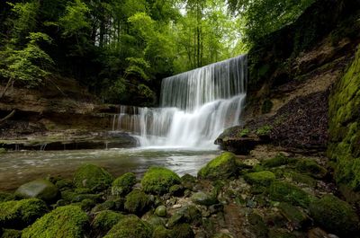 Waterfall in forest against trees