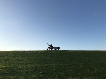 Horse on land against clear sky