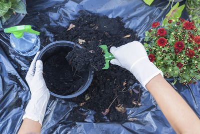 Cropped hand of person planting plant