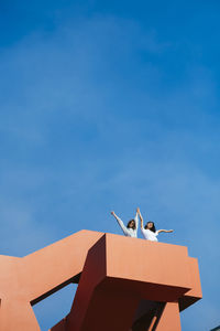 Low angle view of friends standing on terrace against sky