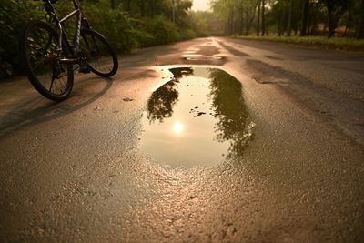 Reflection of sun on puddle against trees