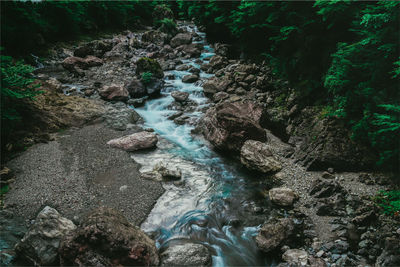 High angle view of waterfall in forest