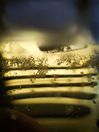Close-up of wet plants against sky during sunset