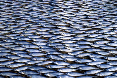 Directly above shot of fish drying on jute sacks