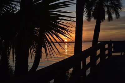 Silhouette palm trees at beach during sunset