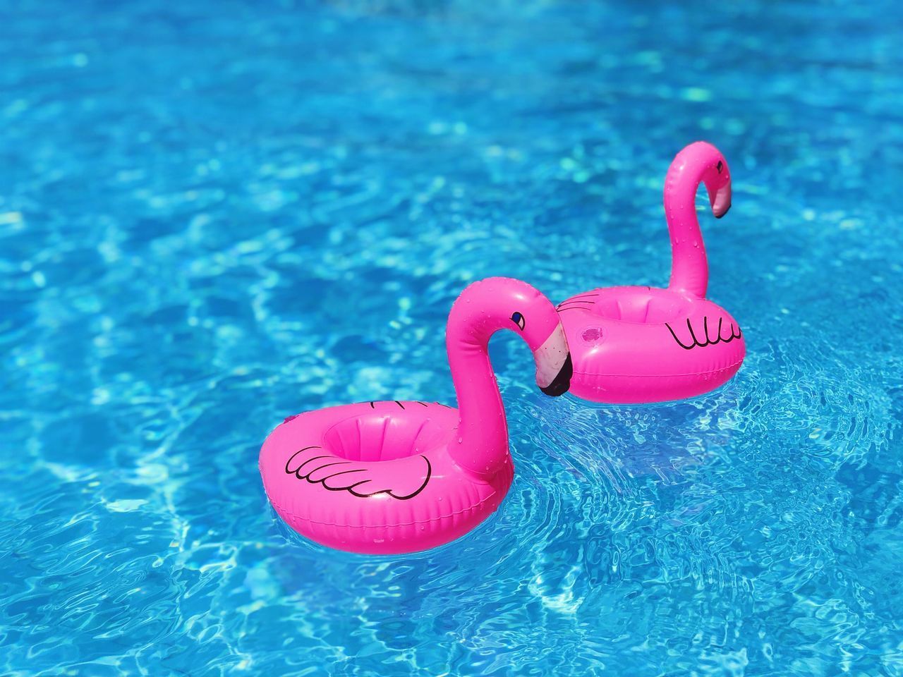 HIGH ANGLE VIEW OF A DUCK FLOATING ON SWIMMING POOL