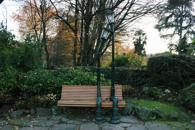 Empty bench in park