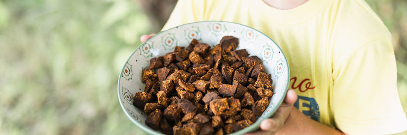 Kid hands holding plate cleaned sliced chaga pieces. foraged chaga mushroom wild birch tree fungus